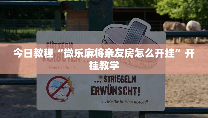 实测分析“旺旺竞技麻将开挂教程详细开挂教程”详细开挂玩法