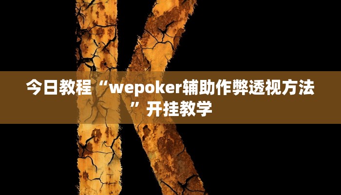 今日教程“wepoker辅助作弊透视方法”开挂教学