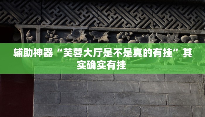 辅助神器“芙蓉大厅是不是真的有挂”其实确实有挂 辅助神器“芙蓉大厅是不是真的有挂”其实确实有挂