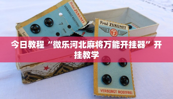 今日教程“微乐河北麻将万能开挂器”开挂教学 今日教程“微乐河北麻将万能开挂器”开挂教学