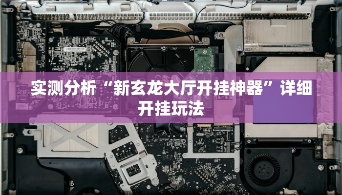 实测分析“新玄龙大厅开挂神器”详细开挂玩法