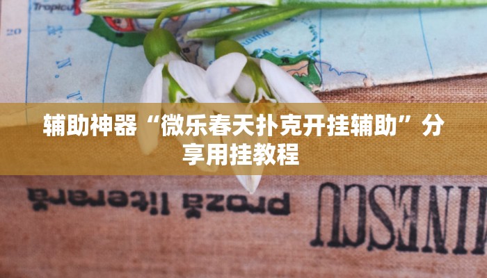 辅助神器“微乐春天扑克开挂辅助”分享用挂教程 