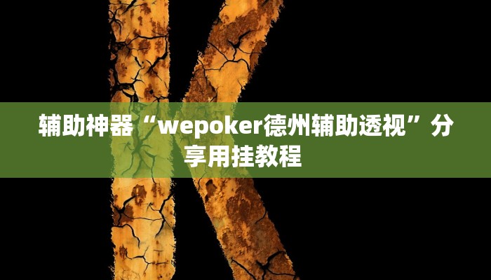 辅助神器“wepoker德州辅助透视”分享用挂教程 