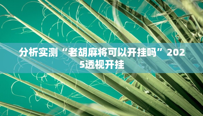 分析实测“老胡麻将可以开挂吗”2025透视开挂