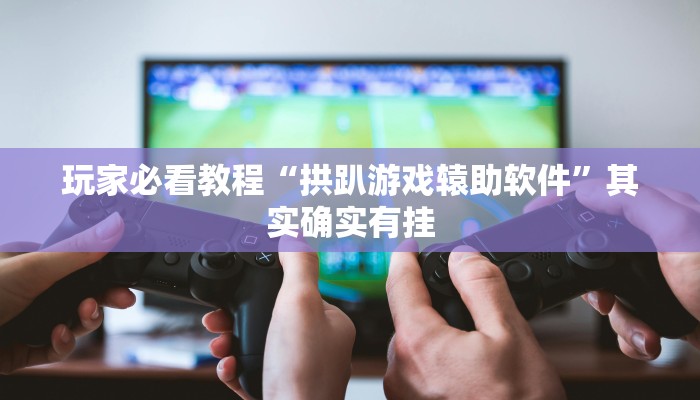 玩家必看教程“拱趴游戏辕助软件”其实确实有挂