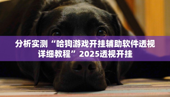 分析实测“哈狗游戏开挂辅助软件透视详细教程”2025透视开挂 分析实测“哈狗游戏开挂辅助软件透视详细教程”2025透视开挂