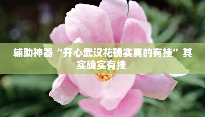 辅助神器“开心武汉花确实真的有挂”其实确实有挂 