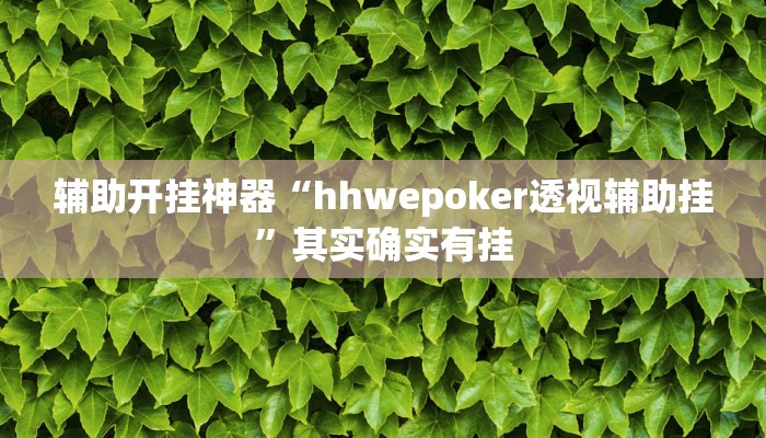 辅助开挂神器“hhwepoker透视辅助挂”其实确实有挂