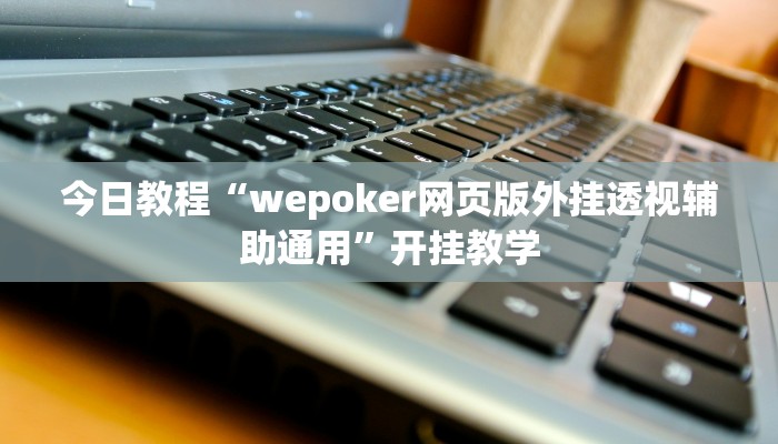 今日教程“wepoker网页版外挂透视辅助通用”开挂教学
