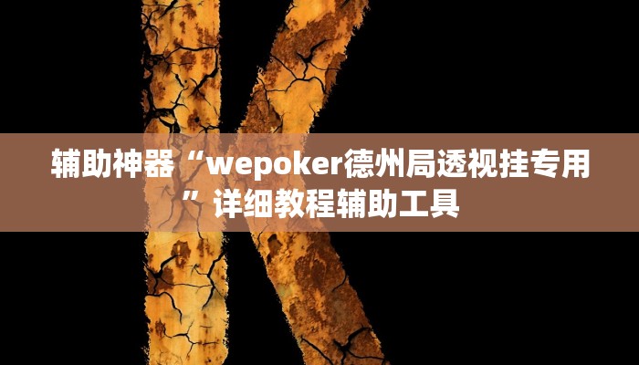 辅助神器“wepoker德州局透视挂专用”详细教程辅助工具
