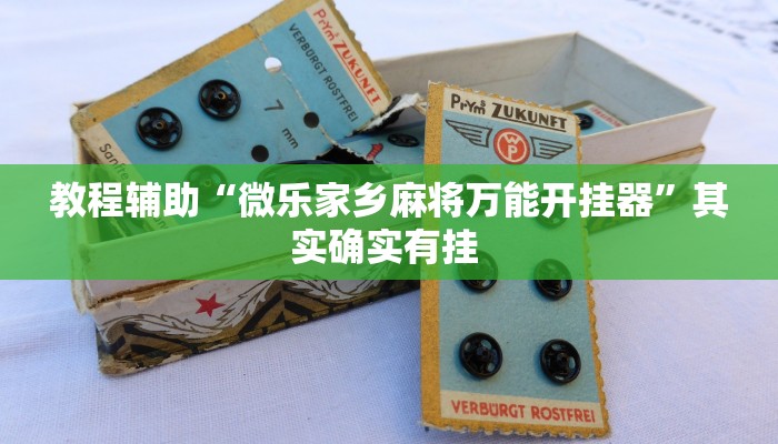 教程辅助“微乐家乡麻将万能开挂器”其实确实有挂 教程辅助“微乐家乡麻将万能开挂器”其实确实有挂