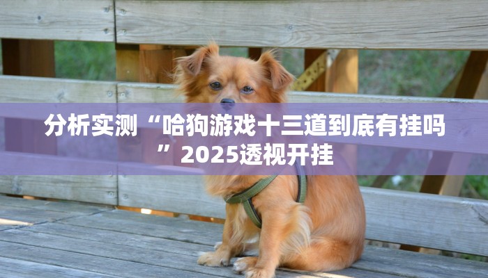 分析实测“哈狗游戏十三道到底有挂吗”2025透视开挂
