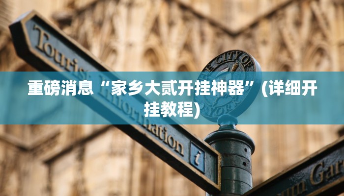 重磅消息“家乡大贰开挂神器”(详细开挂教程) 重磅消息“家乡大贰开挂神器”(详细开挂教程)
