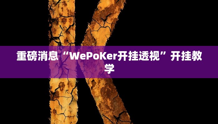 重磅消息“WePoKer开挂透视”开挂教学