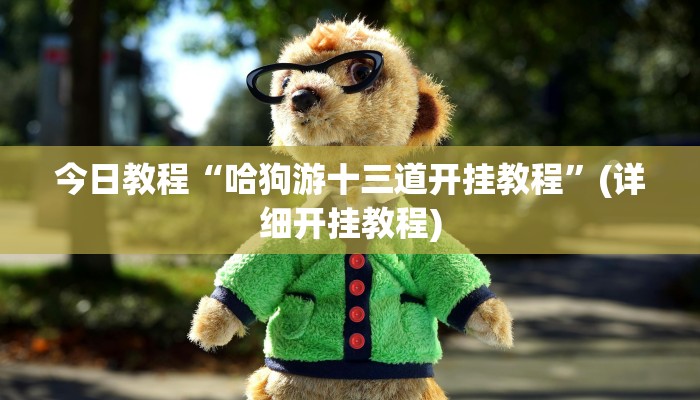 今日教程“哈狗游十三道开挂教程”(详细开挂教程)
