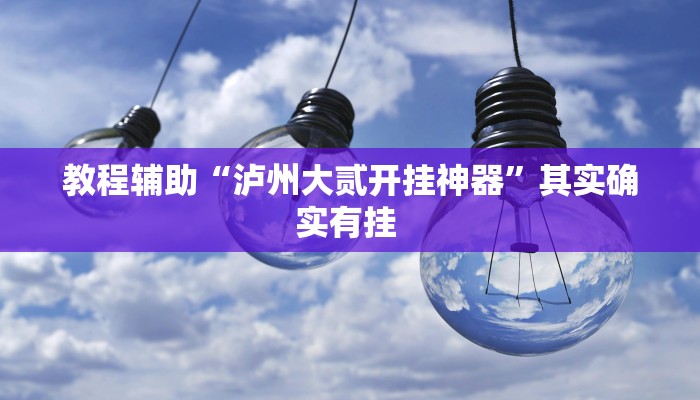 教程辅助“泸州大贰开挂神器”其实确实有挂 