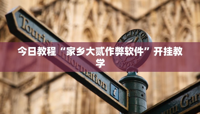 今日教程“家乡大贰作弊软件”开挂教学