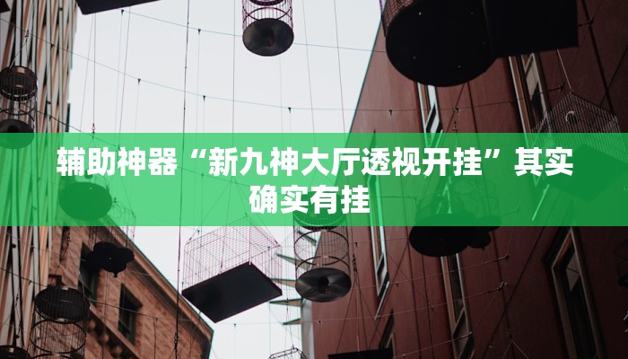 辅助神器“新九神大厅透视开挂”其实确实有挂 辅助神器“新九神大厅透视开挂”其实确实有挂