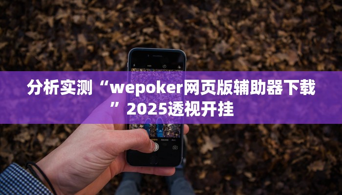 分析实测“wepoker网页版辅助器下载”2025透视开挂 分析实测“wepoker网页版辅助器下载”2025透视开挂