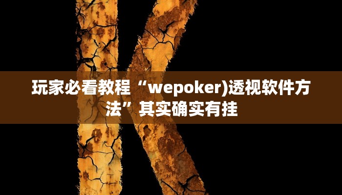 玩家必看教程“wepoker)透视软件方法”其实确实有挂