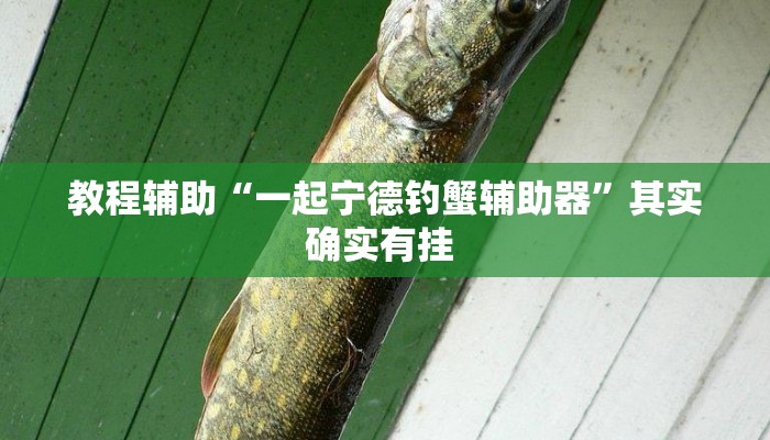 教程辅助“一起宁德钓蟹辅助器”其实确实有挂 