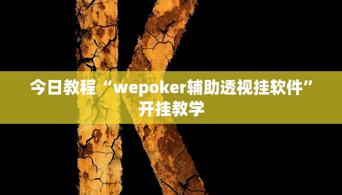 今日教程“wepoker辅助透视挂软件”开挂教学