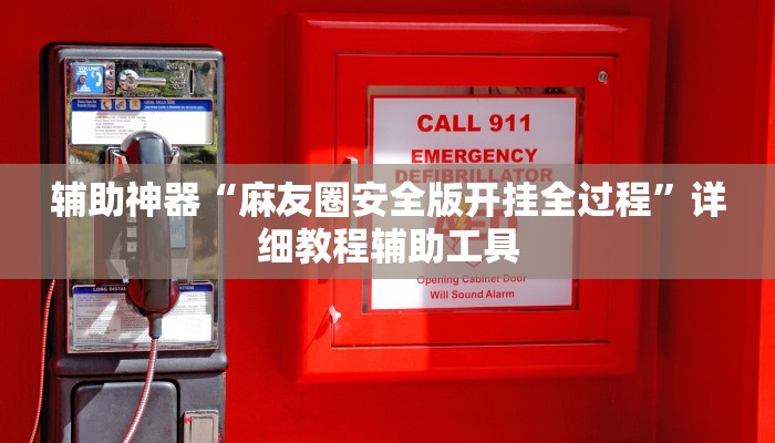 辅助神器“麻友圈安全版开挂全过程”详细教程辅助工具