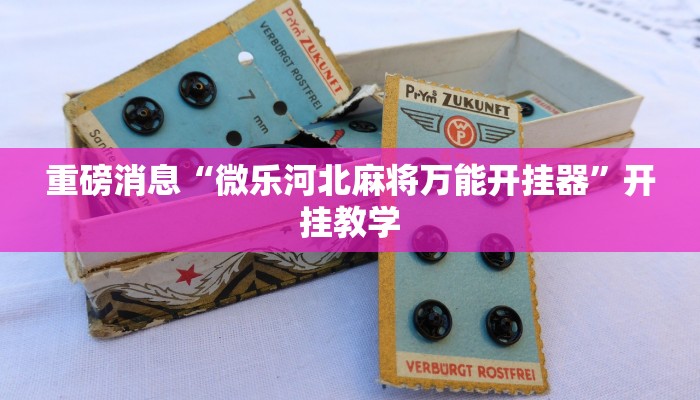 重磅消息“微乐河北麻将万能开挂器”开挂教学