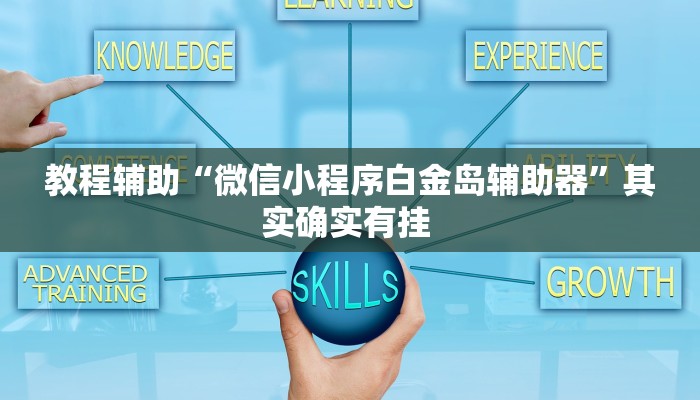 教程辅助“微信小程序白金岛辅助器”其实确实有挂 
