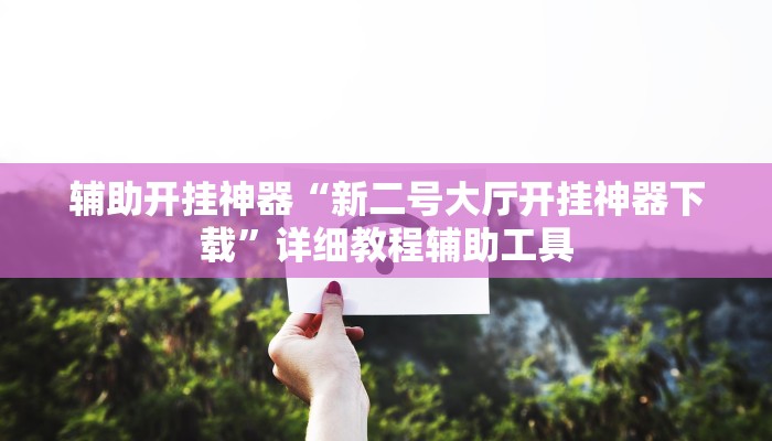 辅助开挂神器“新二号大厅开挂神器下载”详细教程辅助工具