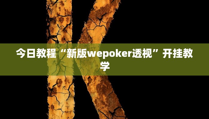 今日教程“新版wepoker透视”开挂教学