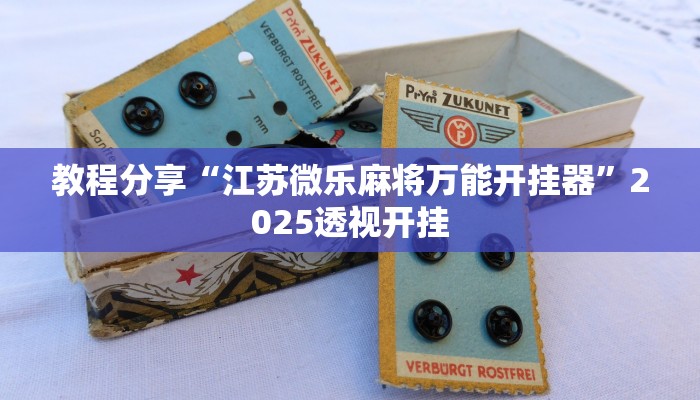 教程分享“江苏微乐麻将万能开挂器”2025透视开挂 教程分享“江苏微乐麻将万能开挂器”2025透视开挂
