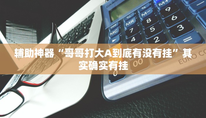 辅助神器“哥哥打大A到底有没有挂”其实确实有挂