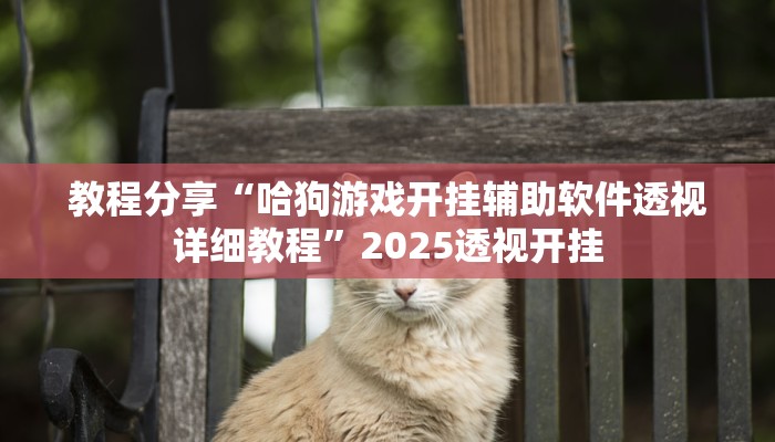 教程分享“哈狗游戏开挂辅助软件透视详细教程”2025透视开挂 教程分享“哈狗游戏开挂辅助软件透视详细教程”2025透视开挂