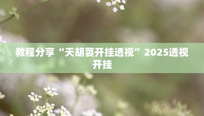 教程分享“天胡荽开挂透视”2025透视开挂 教程分享“天胡荽开挂透视”2025透视开挂