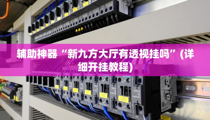 辅助神器“新九方大厅有透视挂吗”(详细开挂教程)