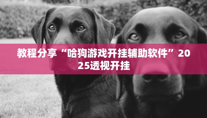 教程分享“哈狗游戏开挂辅助软件”2025透视开挂 教程分享“哈狗游戏开挂辅助软件”2025透视开挂