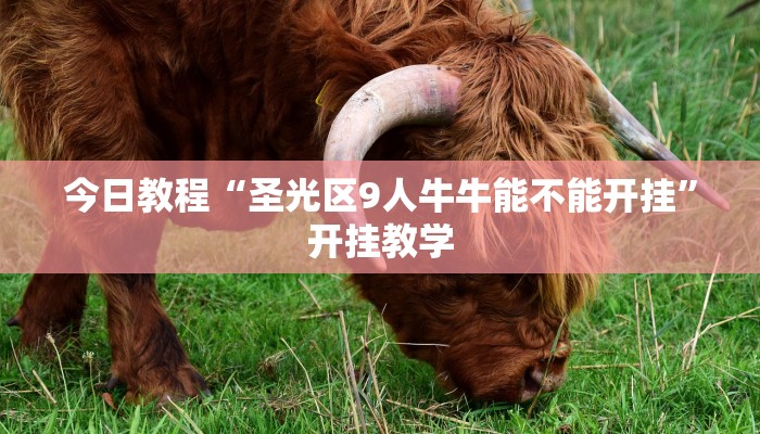 今日教程“圣光区9人牛牛能不能开挂”开挂教学 今日教程“圣光区9人牛牛能不能开挂”开挂教学