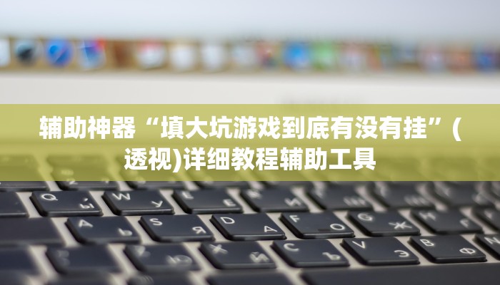 辅助神器“填大坑游戏到底有没有挂”(透视)详细教程辅助工具