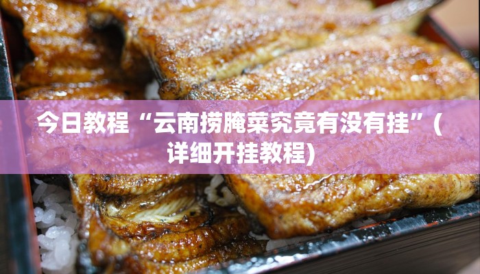 今日教程“云南捞腌菜究竟有没有挂”(详细开挂教程)