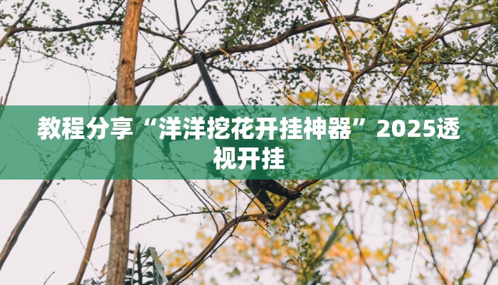 教程分享“洋洋挖花开挂神器”2025透视开挂 教程分享“洋洋挖花开挂神器”2025透视开挂