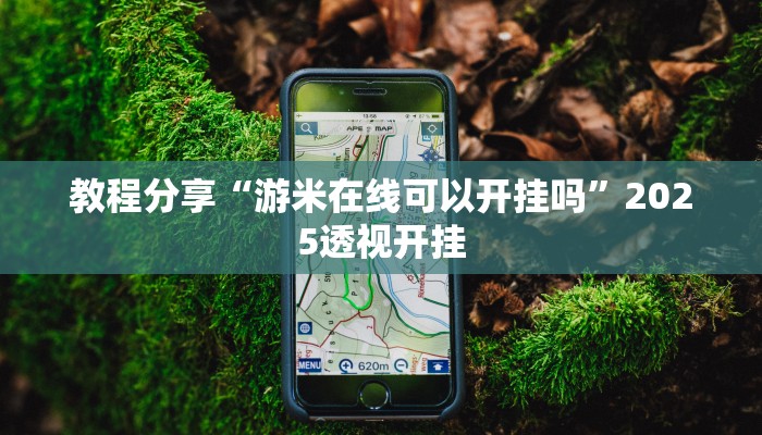 教程分享“游米在线可以开挂吗”2025透视开挂