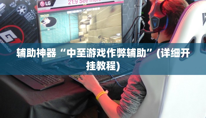 辅助神器“中至游戏作弊辅助”(详细开挂教程)