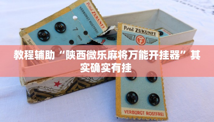 教程辅助“陕西微乐麻将万能开挂器”其实确实有挂 