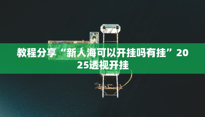 教程分享“新人海可以开挂吗有挂”2025透视开挂 教程分享“新人海可以开挂吗有挂”2025透视开挂