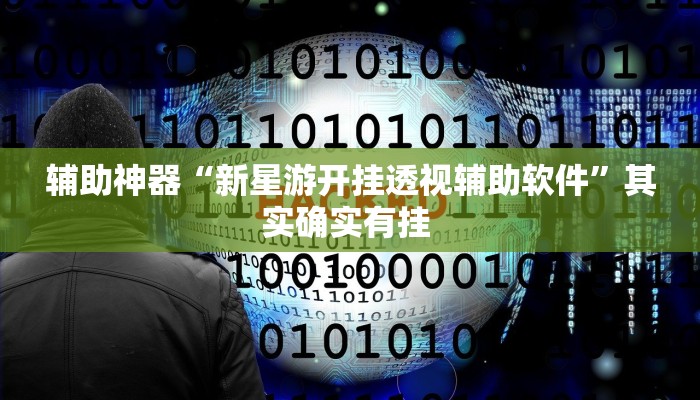 辅助神器“新星游开挂透视辅助软件”其实确实有挂 