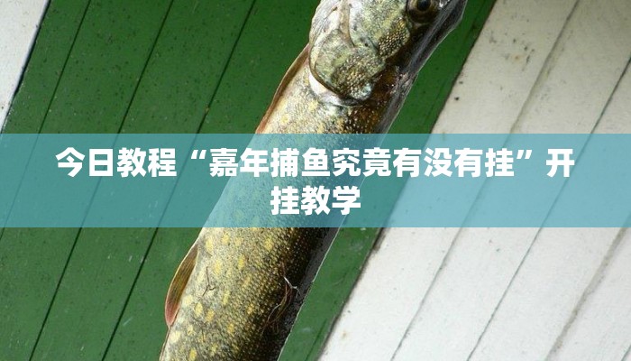 今日教程“嘉年捕鱼究竟有没有挂”开挂教学 今日教程“嘉年捕鱼究竟有没有挂”开挂教学