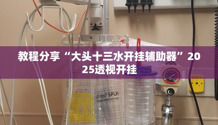 教程分享“大头十三水开挂辅助器”2025透视开挂
