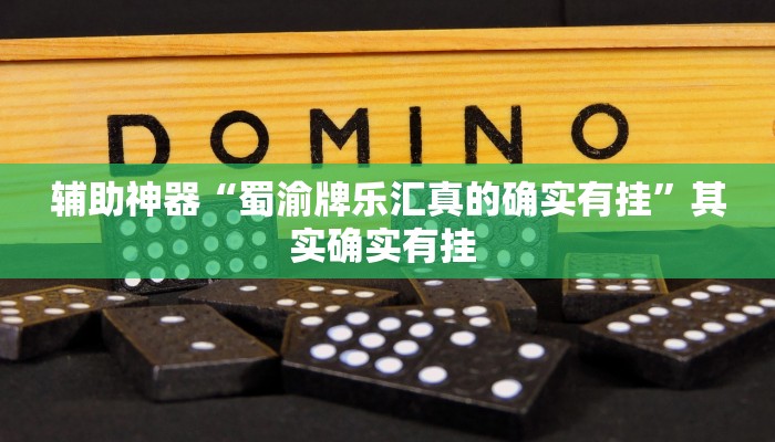 辅助神器“蜀渝牌乐汇真的确实有挂”其实确实有挂 