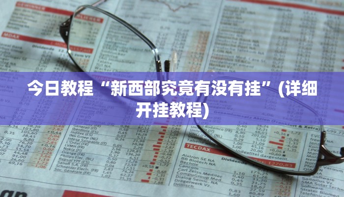 今日教程“新西部究竟有没有挂”(详细开挂教程)